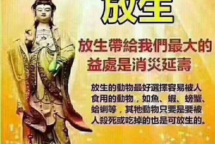 佛教里关于放生的知识有哪些，佛教中的放生