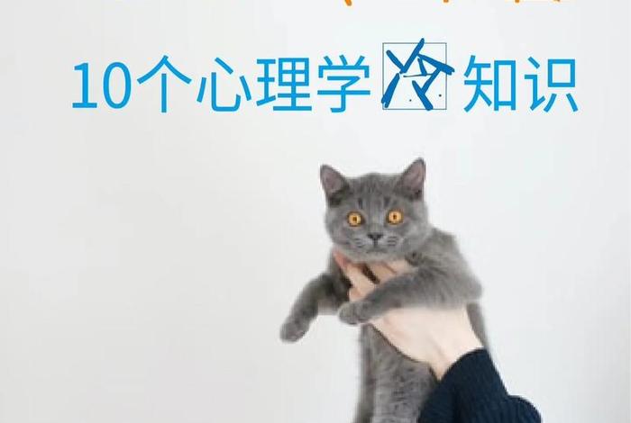 10个冷知识讲解，10个冷知识讲解视频