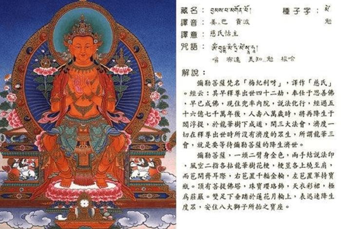 藏族佛教知识大全图片、藏族的佛教文化