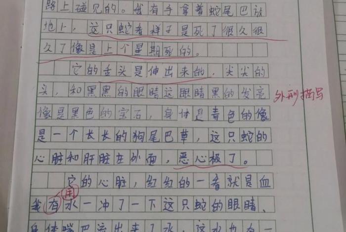 知识与佛教并不冲突的思考作文；佛教中知识怎么解释