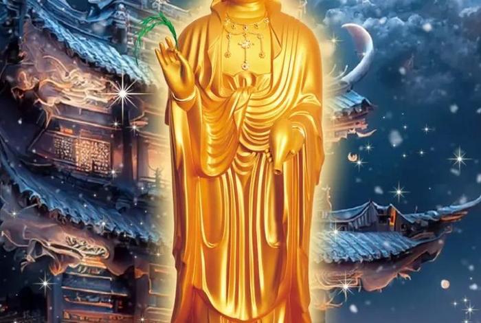 佛教知识类视频下载软件免费（佛教视频最全软件）