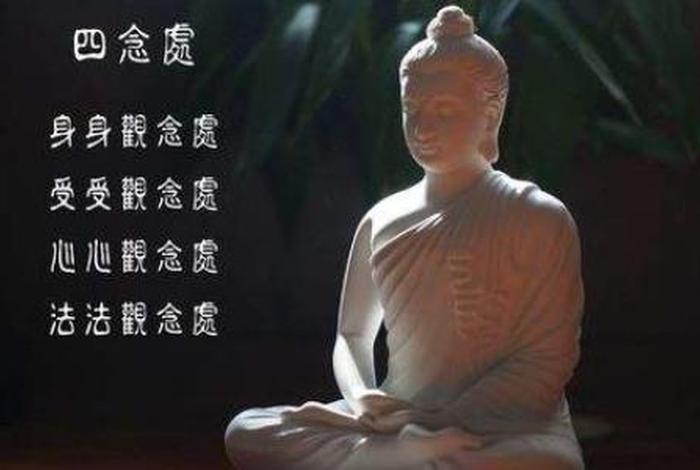 刚学佛从哪学起、刚学佛从哪学起好