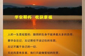 佛教学会释怀感言 佛教释怀和放下的句子