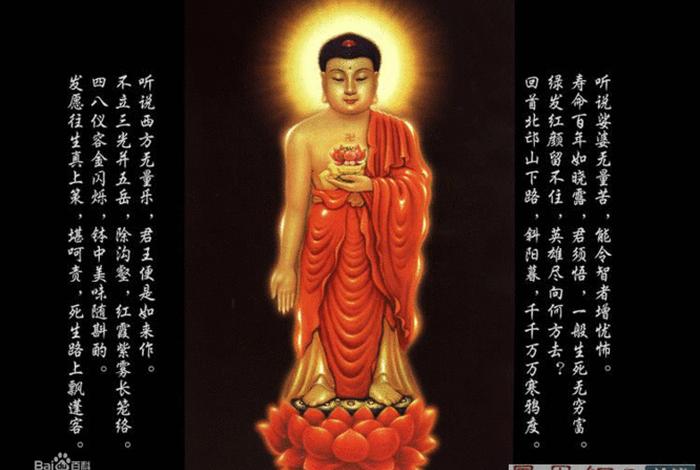 秒懂百科什么是佛，佛是什么百度百科