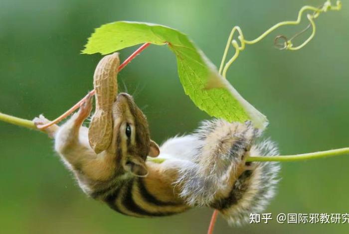 范缜是哪个朝代的人 范缜传百度百科