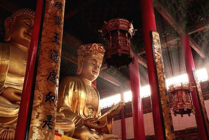 九华山佛教视频 九华山佛教视频大全