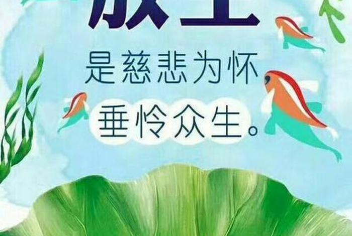 放生的功德和福报（放生鲤鱼的功德和福报）