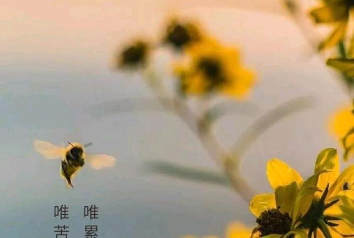 佛教吃苦了苦苦尽甘来、佛教吃苦了苦苦尽甘来怎么说
