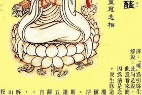 佛教慈悲基础知识有哪些（佛教中的慈悲）
