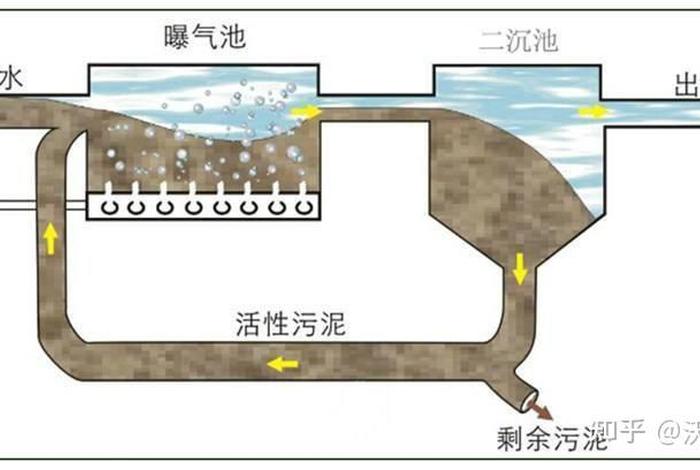 微生物讲解、微生物讲解污染物例子
