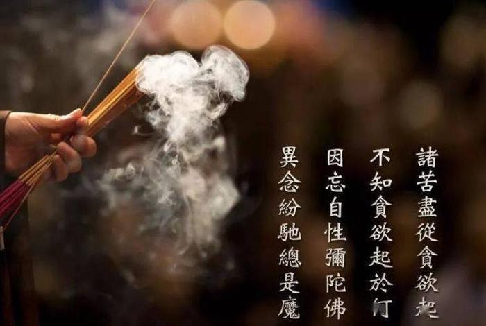 佛教因果经典视频 - 佛教因果视频因果轮回视视频