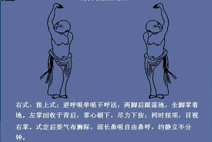 佛教呼吸吐纳心法 - 佛教呼吸吐纳心法视频