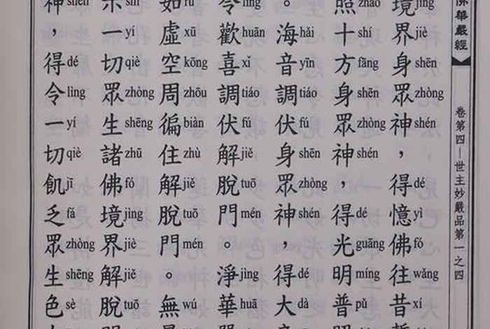 佛教一共有多少佛经、佛教一共有多少部经文