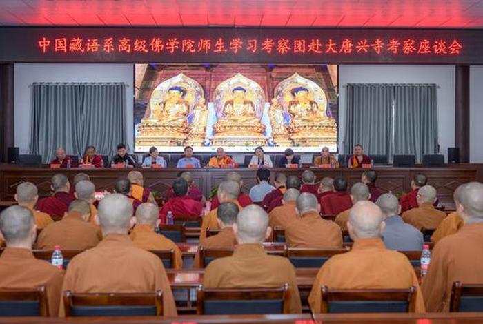 网络佛教法师；网络佛学院