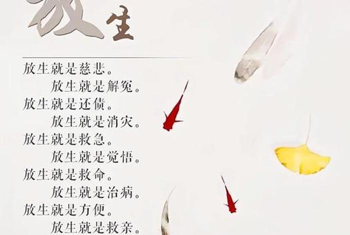 学佛常见误区放生（佛学放生的功德）