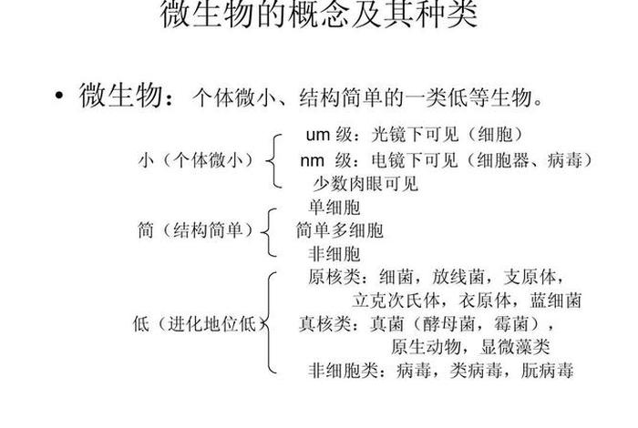 微生物的理解、微生物的概述