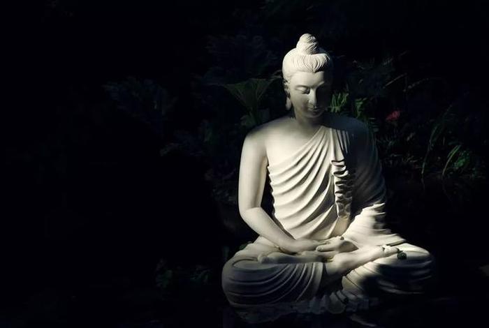 佛学中生命的十二种形态 佛学生命的意义