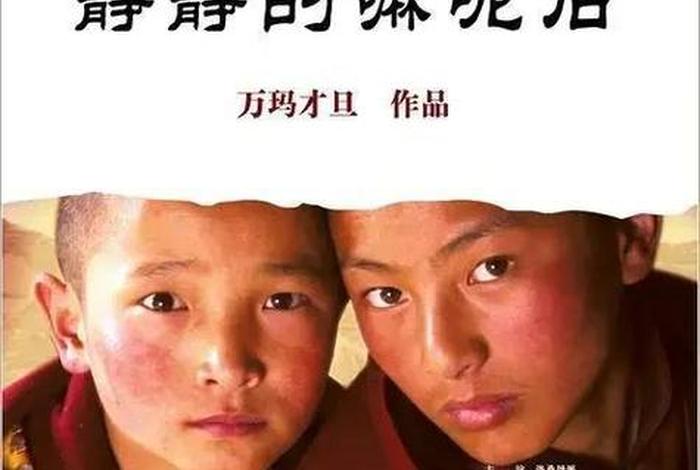 关于佛教、 - 关于佛教,的电影