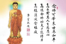 佛教生命的真相（佛教对生命的定义）