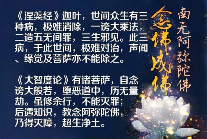 有佛学道理的视频 - 佛学道理精华