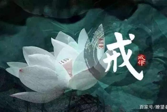 戒定慧佛学讲解视频（佛学中的戒定慧）