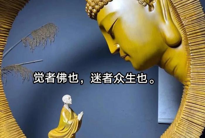 念佛的和没念佛的区别 念佛不念佛