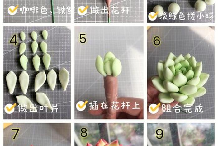 树脂多肉入门教程 多肉树脂粘土图解