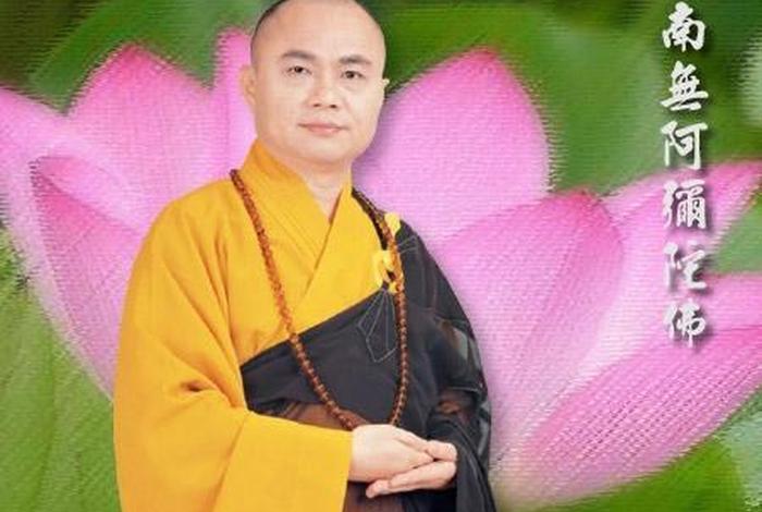 佛法教育视频、佛法教育视频讲解
