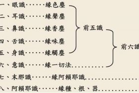 佛教阿赖耶识是灵魂（阿赖耶识的本质是什么）