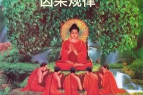 佛教因果经典视频 - 佛教因果视频因果轮回视视频