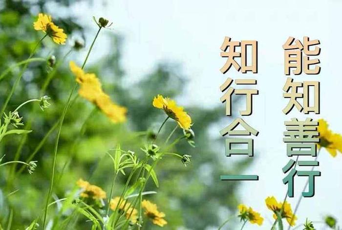 佛教是积极入世的人生哲学 佛法是积极的