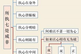 佛法六根六识六尘（佛教中六根六尘六识）