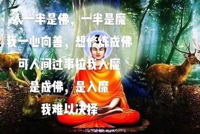 佛教有什么特殊意义；佛教 意义