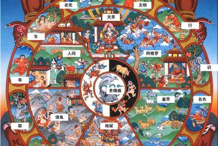 佛教和道教有什么区别，佛教和道教有何区别