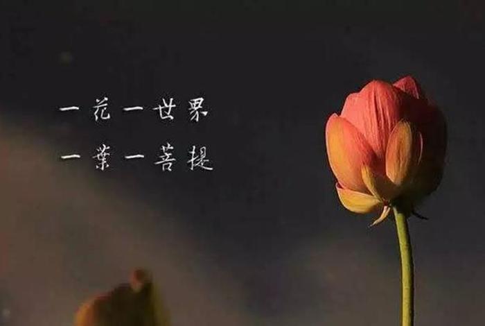 佛教讲的出离心是什么意思（出离心对菩萨道修行有什么必要）