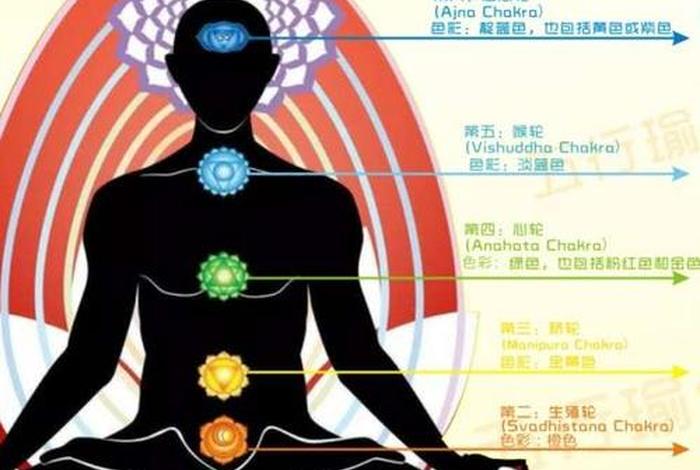 心轮是什么位置（心轮在哪个位置）