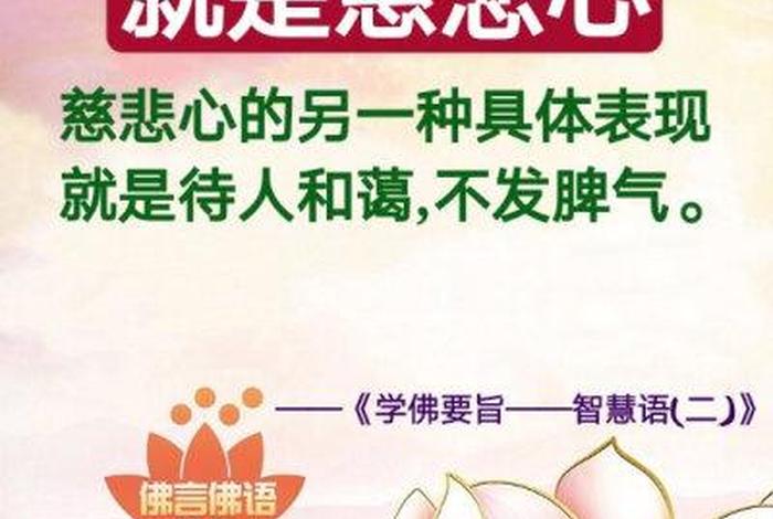 佛教正能量视频素材；正能量的学佛视频