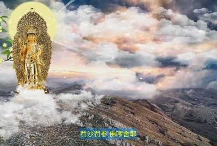 佛学视频在线观看、佛学视频网移动版