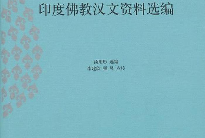 印度佛教汉文 印度佛教汉文化的特点