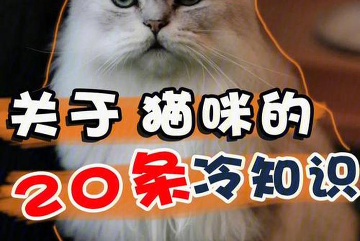 三个冷知识让你走进妹子心 冷知识简短