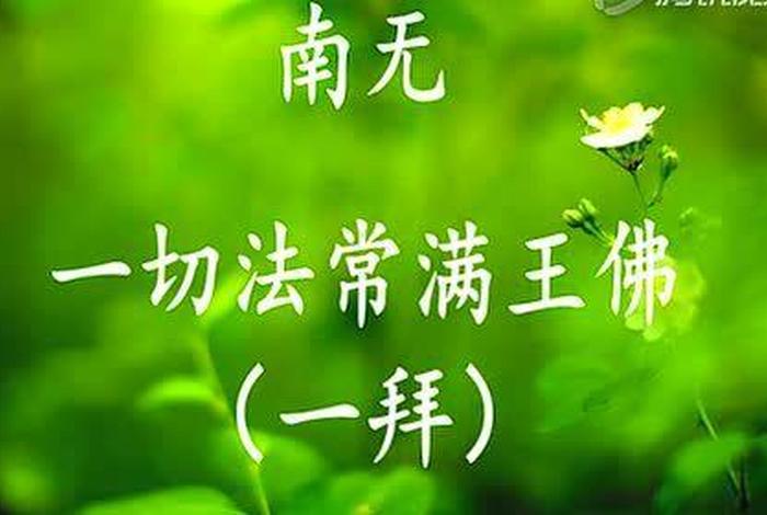 佛教108拜动作示范视频 - 佛教108拜动作示范视频教程