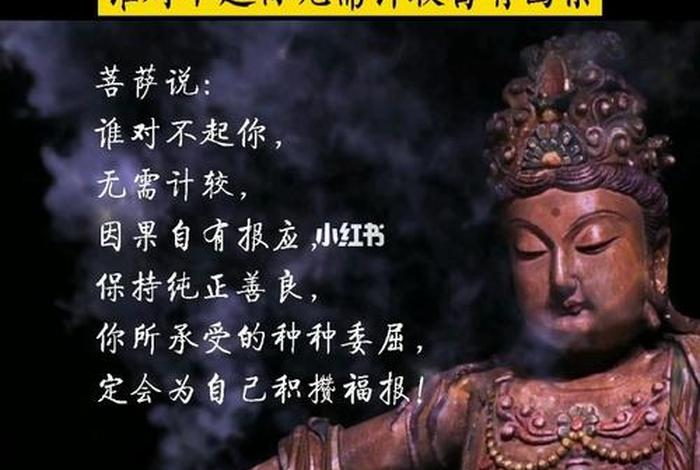 佛学里讲因果、的因果报应