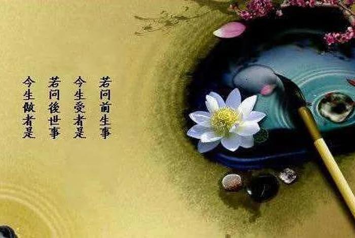 佛学善良、佛学善良的词汇有哪些