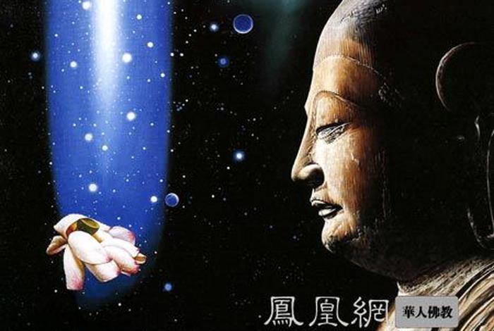 佛教中慧的意思 佛教里的慧