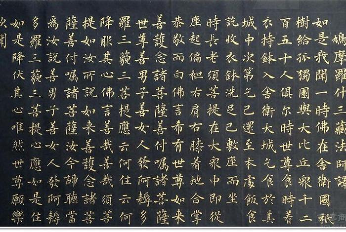佛教入门知识金刚经视频（佛教入门知识金刚经视频全集）