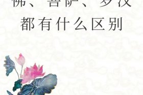 佛教文化有什么用（佛教文化包括哪些方面）