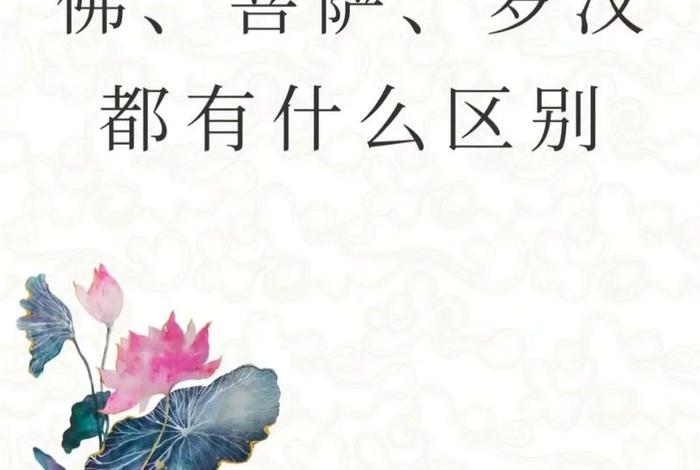 佛教文化有什么用（佛教文化包括哪些方面）