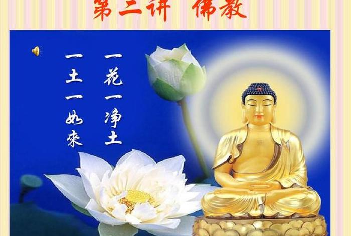 佛教基础知识培训课件视频 - 佛教基础讲座