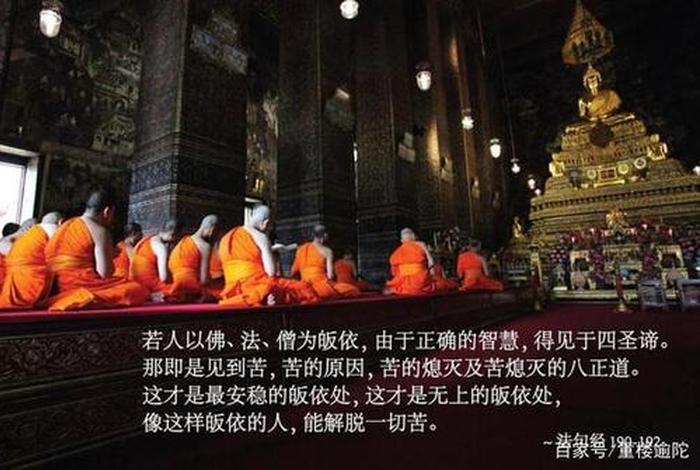 什么才是真正三皈依 - 什么是三皈依法师视频