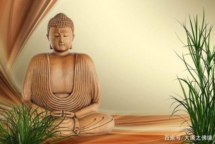 佛教如何改变愚痴、佛说愚痴的原因